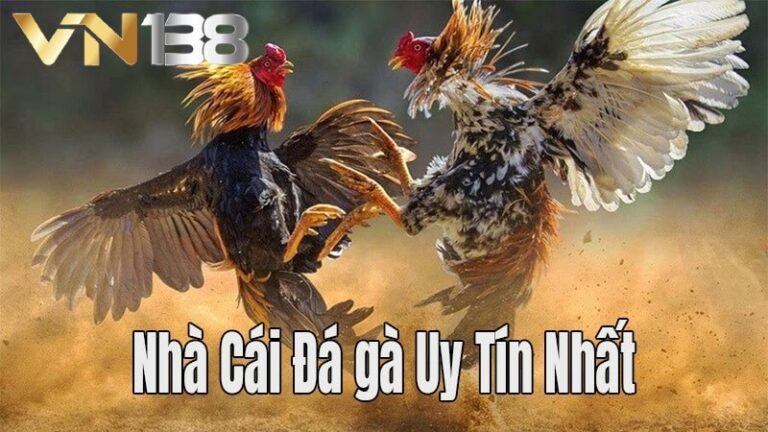 Nhà cái đá gà uy tín VN138