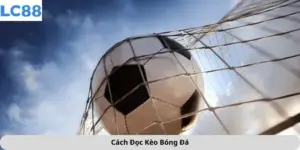 cách đọc kèo bóng đá