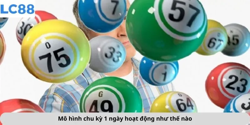 Cách Nuôi Lô Khung 1 Ngày 3 Mô hình chu kỳ 1 ngày hoạt động như thế nào