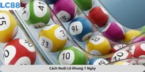 cách nuôi lô khung 1 ngày